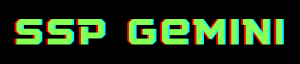 Name _ SSP Gemini